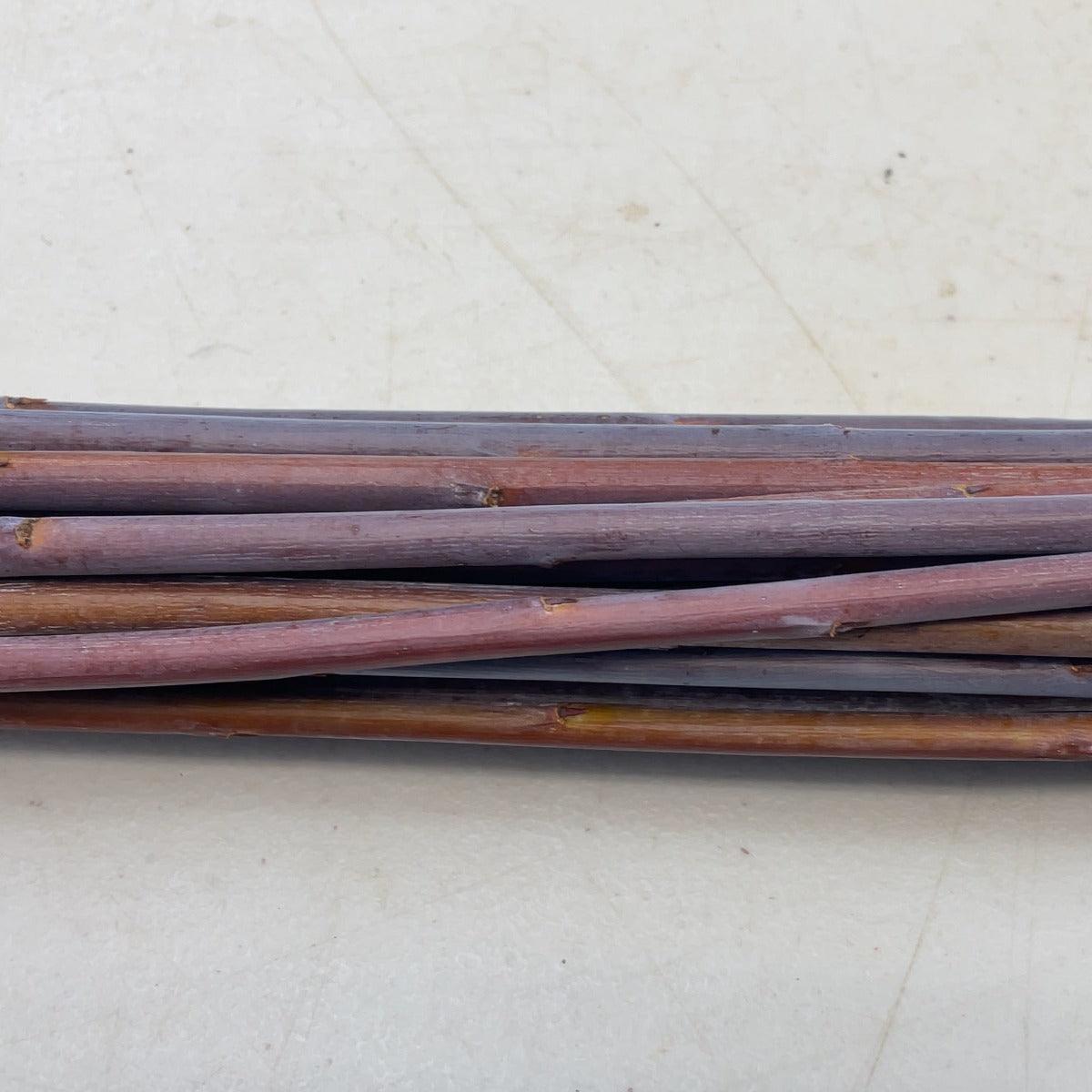 Blue Streak Willow Cutting - Dingdong's Garden