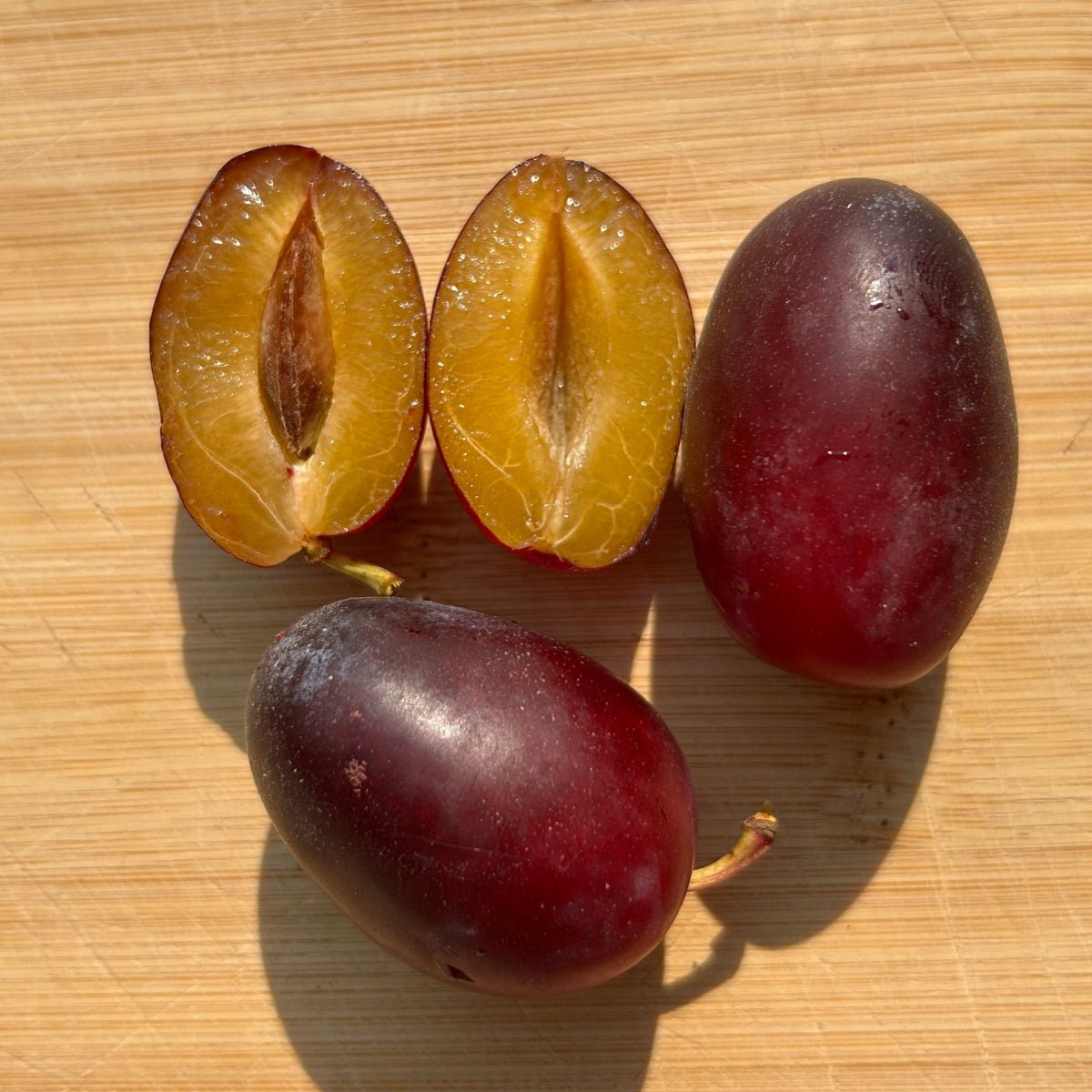 Brooks Plum Scionwood - Dingdong's Garden