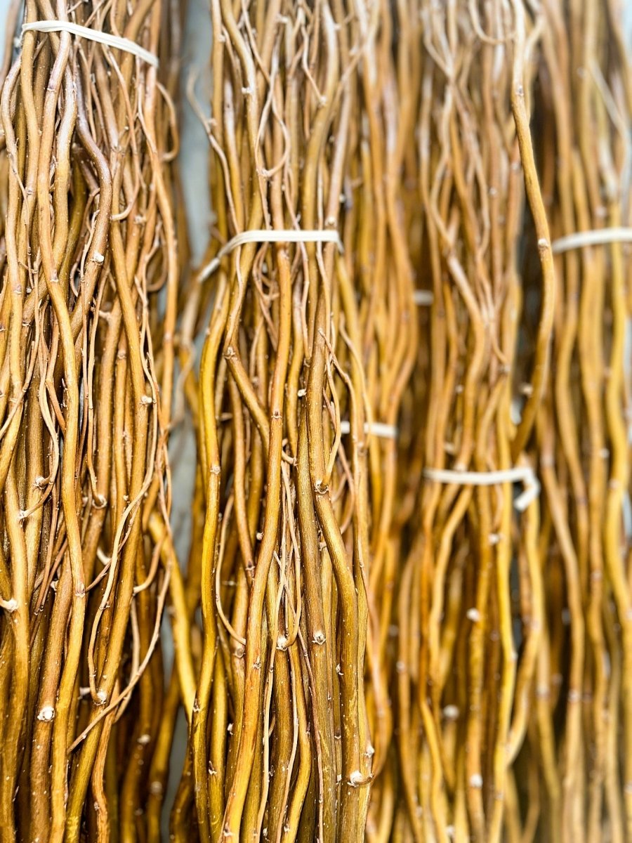 Caradoc Curly Decorative Willow 20 Piece Arrangement - Dingdong's Garden