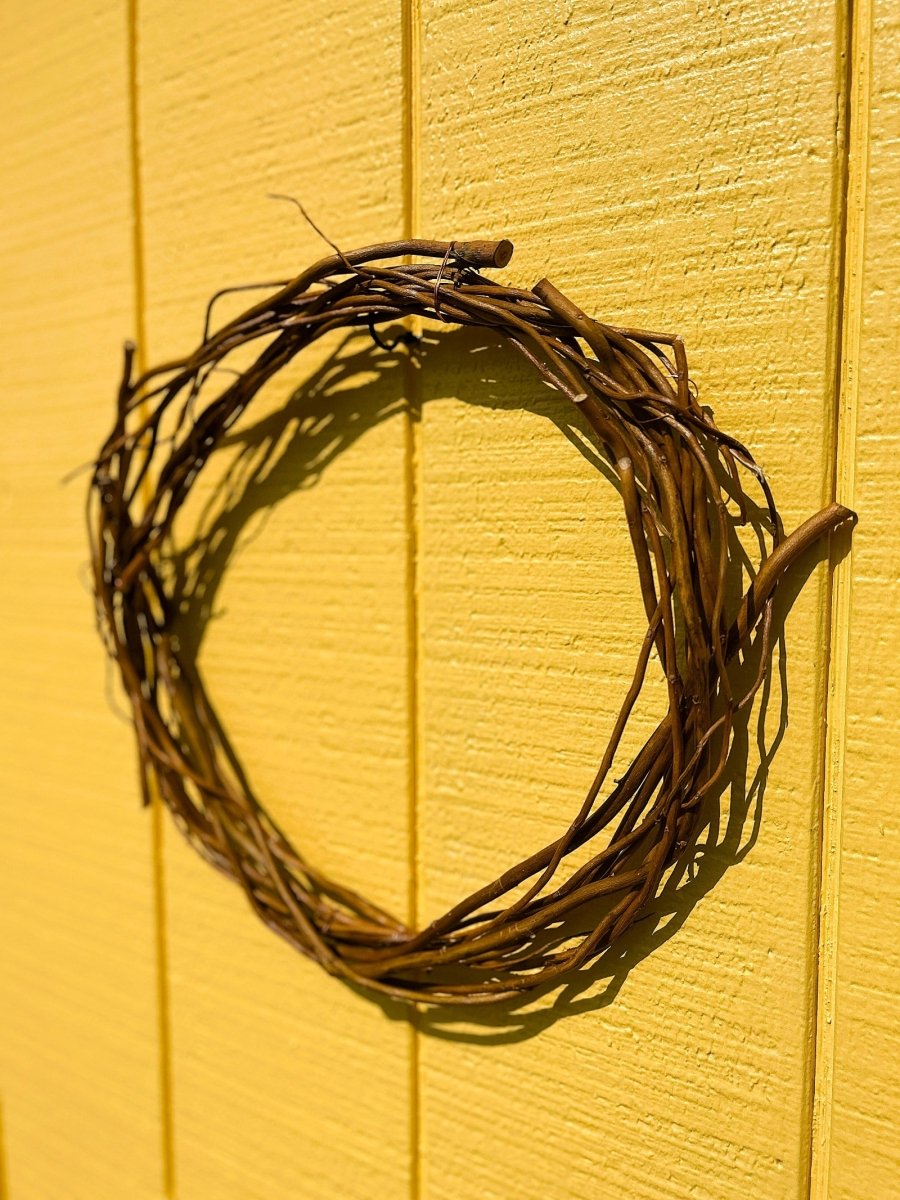 Caradoc Curly Decorative Willow 20 Piece Arrangement - Dingdong's Garden