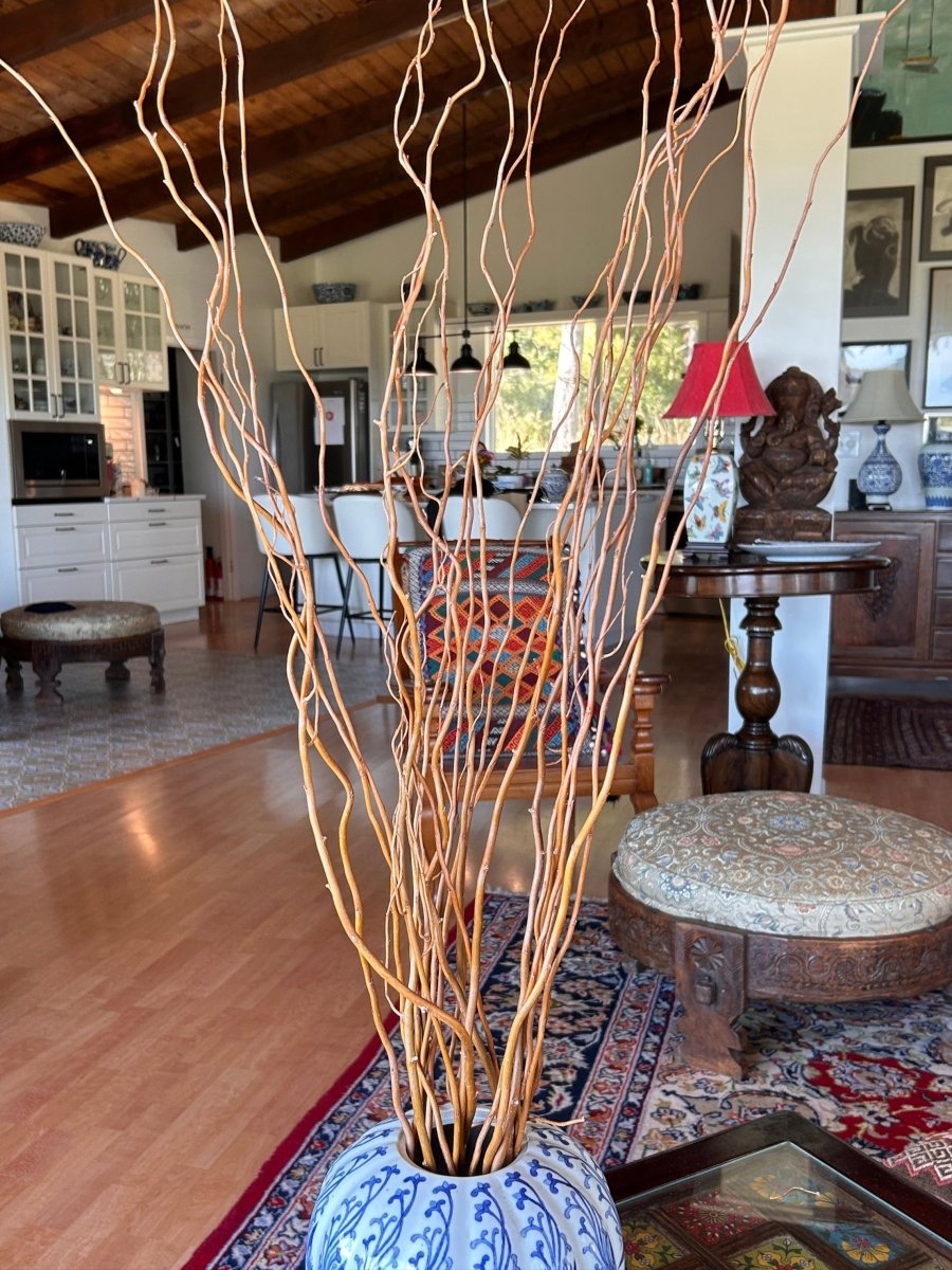 Caradoc Curly Decorative Willow 20 Piece Arrangement - Dingdong's Garden