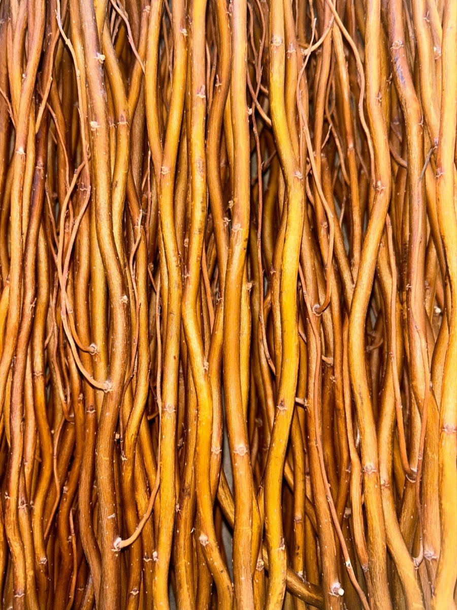 Caradoc Curly Decorative Willow 20 Piece Arrangement - Dingdong's Garden