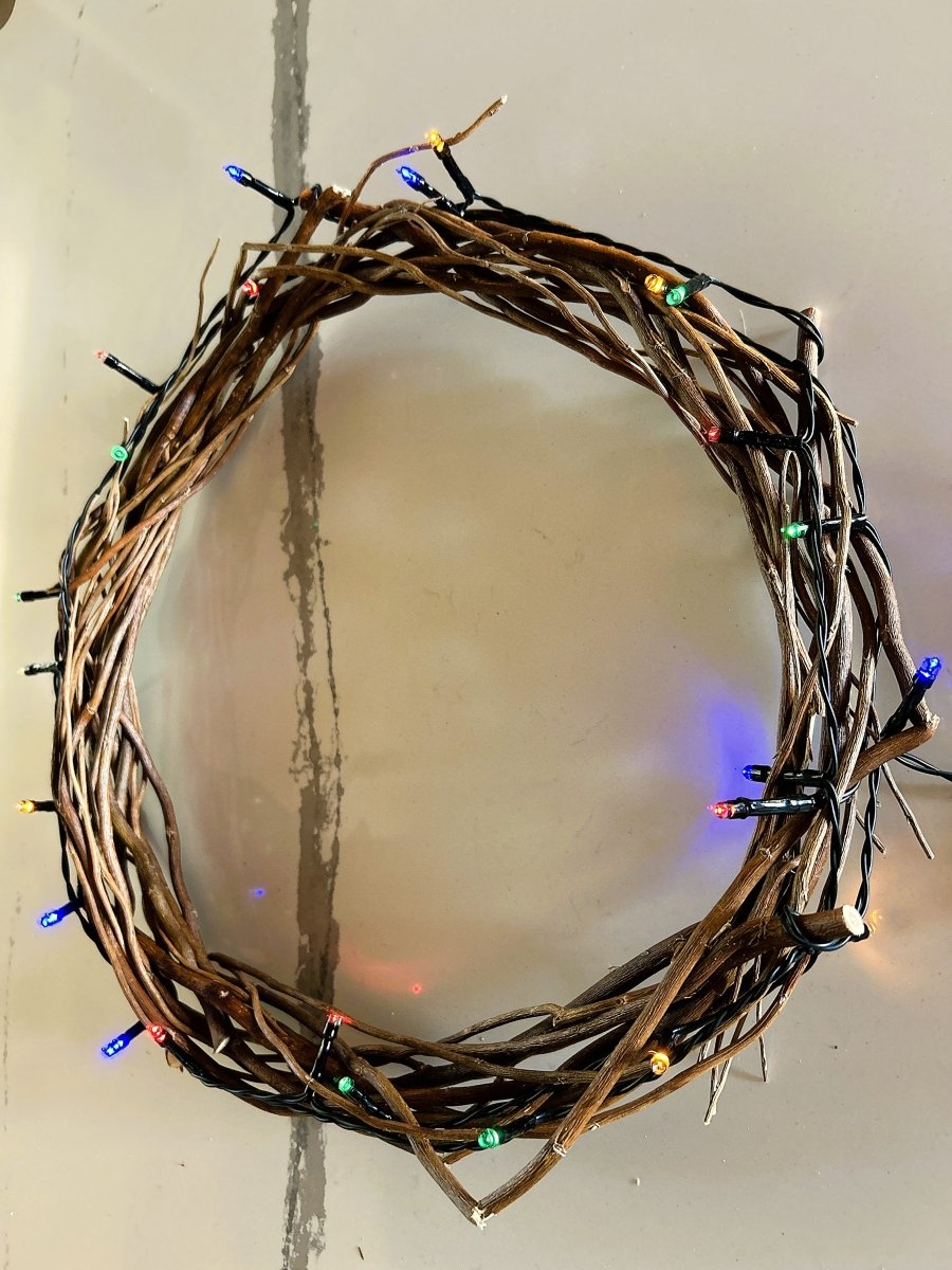 Golden Corkscrew Decorative Willow 20 Piece Bundle - Dingdong's Garden