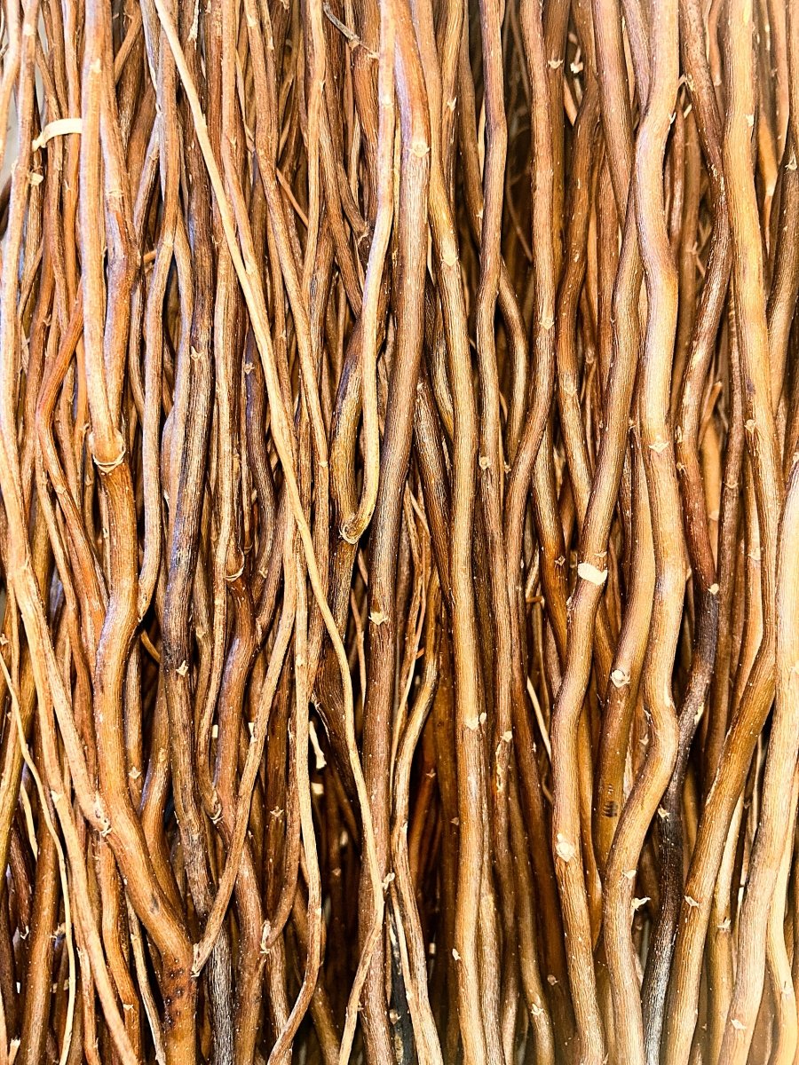 Golden Corkscrew Decorative Willow 20 Piece Bundle - Dingdong's Garden