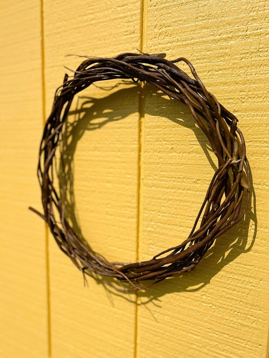 Golden Corkscrew Decorative Willow 20 Piece Bundle - Dingdong's Garden