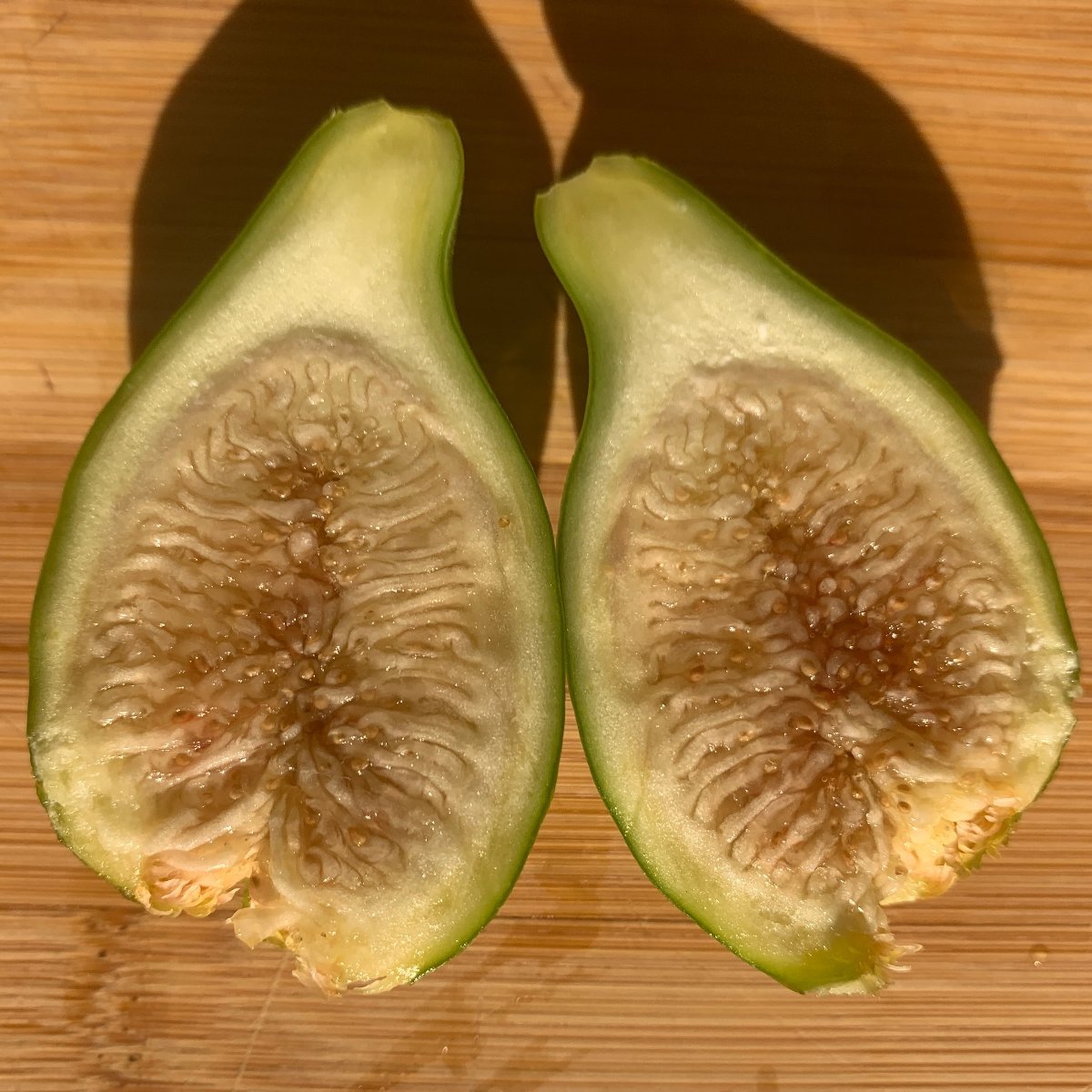 Izbat an Naj Fig Cutting - Dingdong's Garden