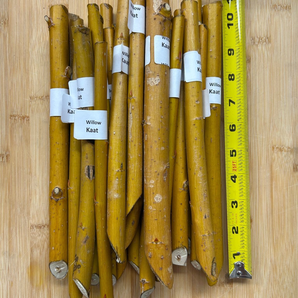 Kaat Willow Cutting - Dingdong's Garden