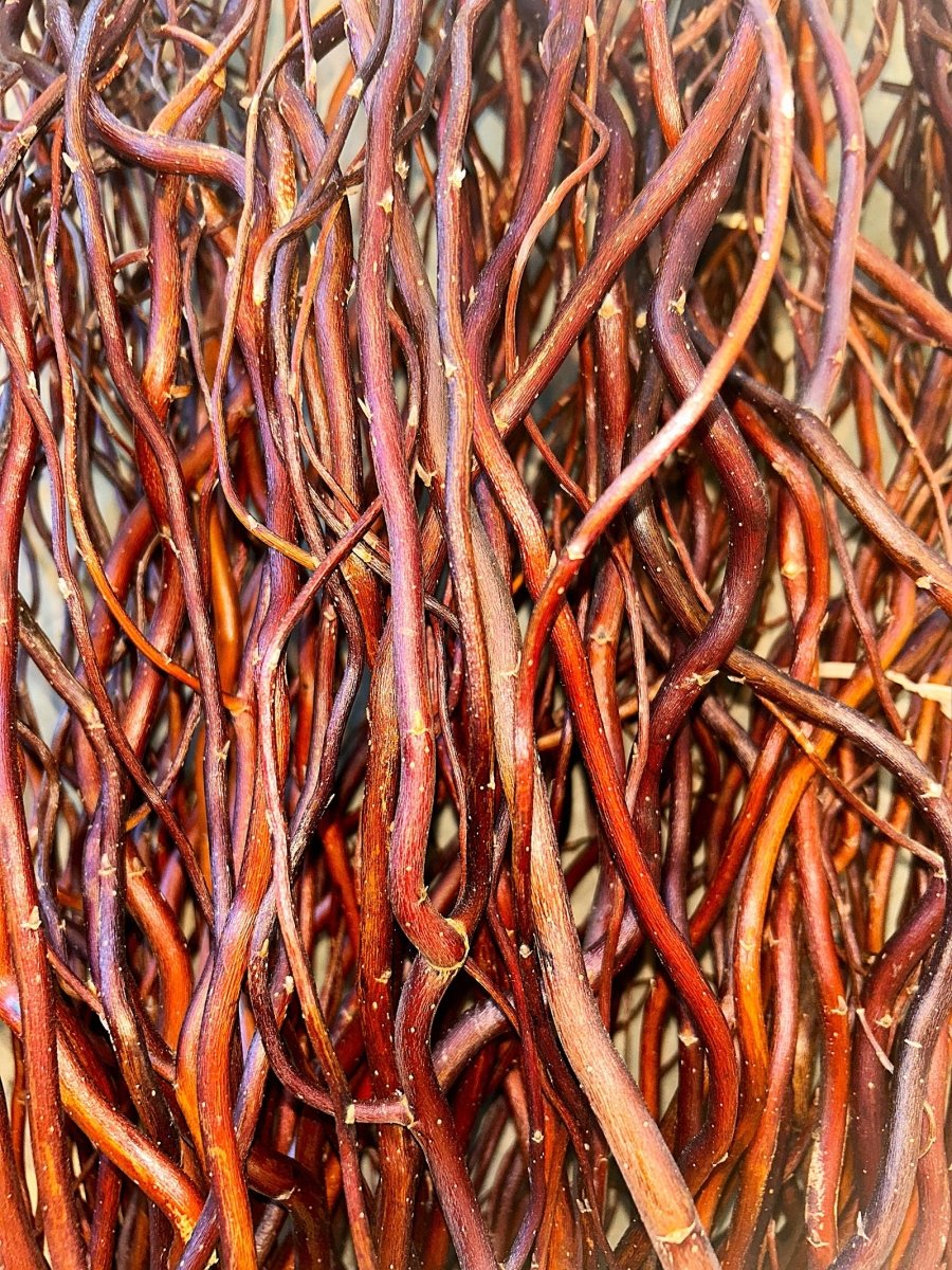 Scarlet Curls Decorative Willow 20 Piece Arrangement - Dingdong's Garden