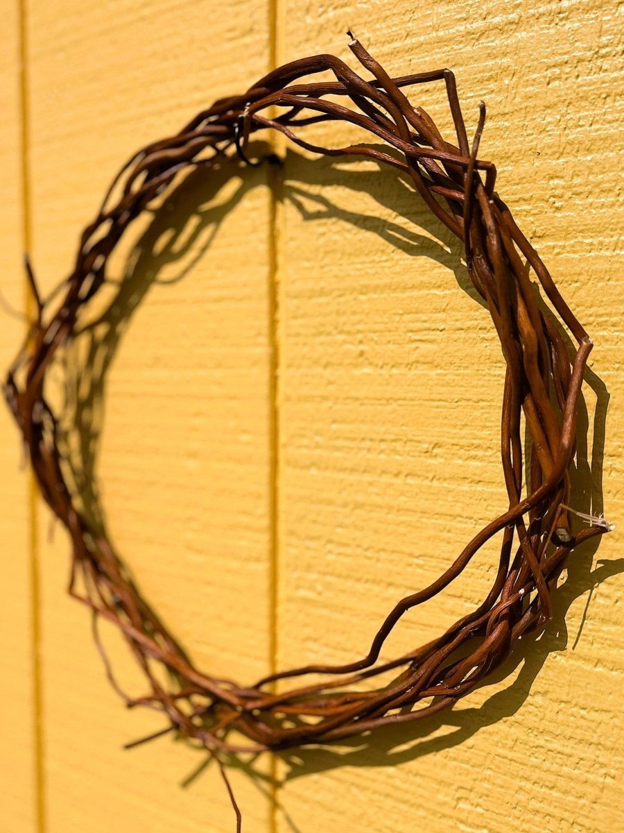 Sunny Twist Curly Decorative Willow 20 Piece Arrangement - Dingdong's Garden