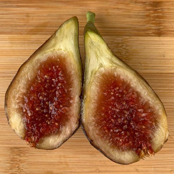 Unk Owensboro Fig Cutting - Dingdong's Garden