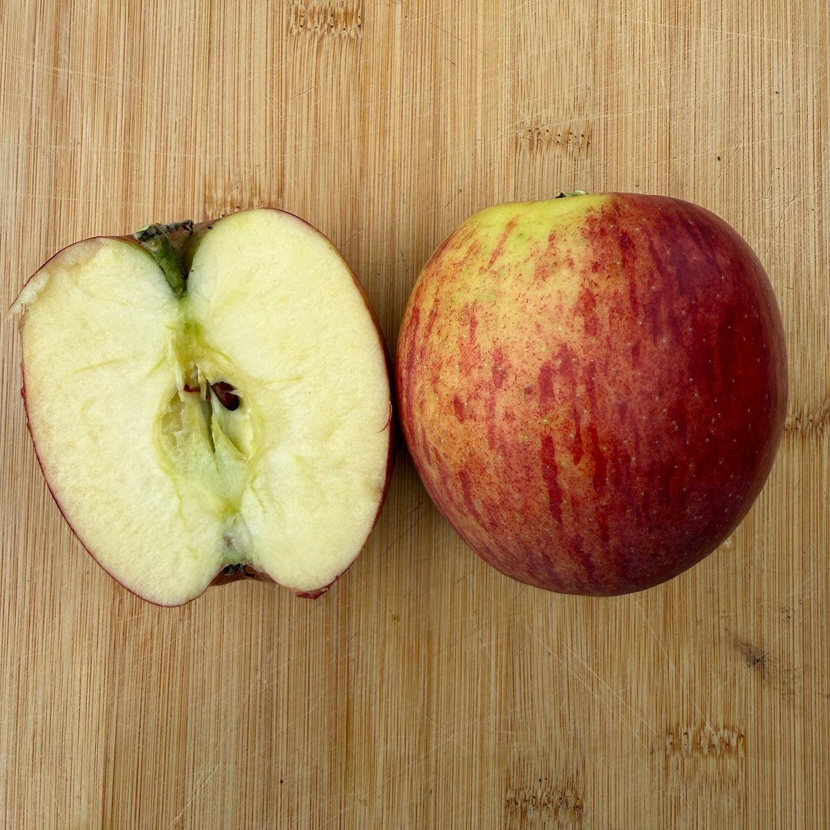 Jonagold Apple Scionwood
