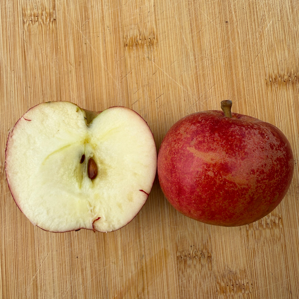 Karmijn de Sonnaville Apple Scionwood