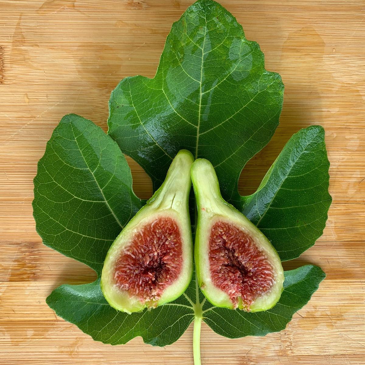 Adriatic J.H. Fig Cutting