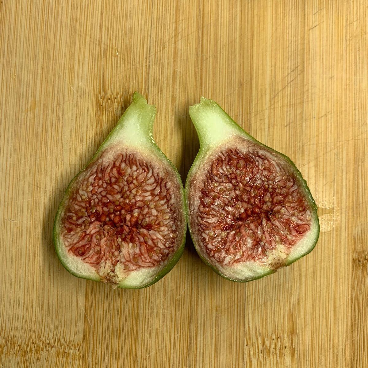 Atreano Fig Cutting - Dingdong's Garden