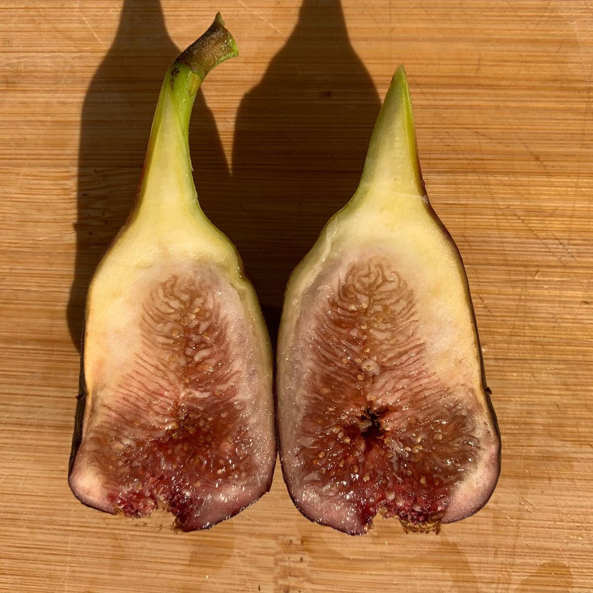 Black Spanish Fig Cutting - Dingdong's Garden