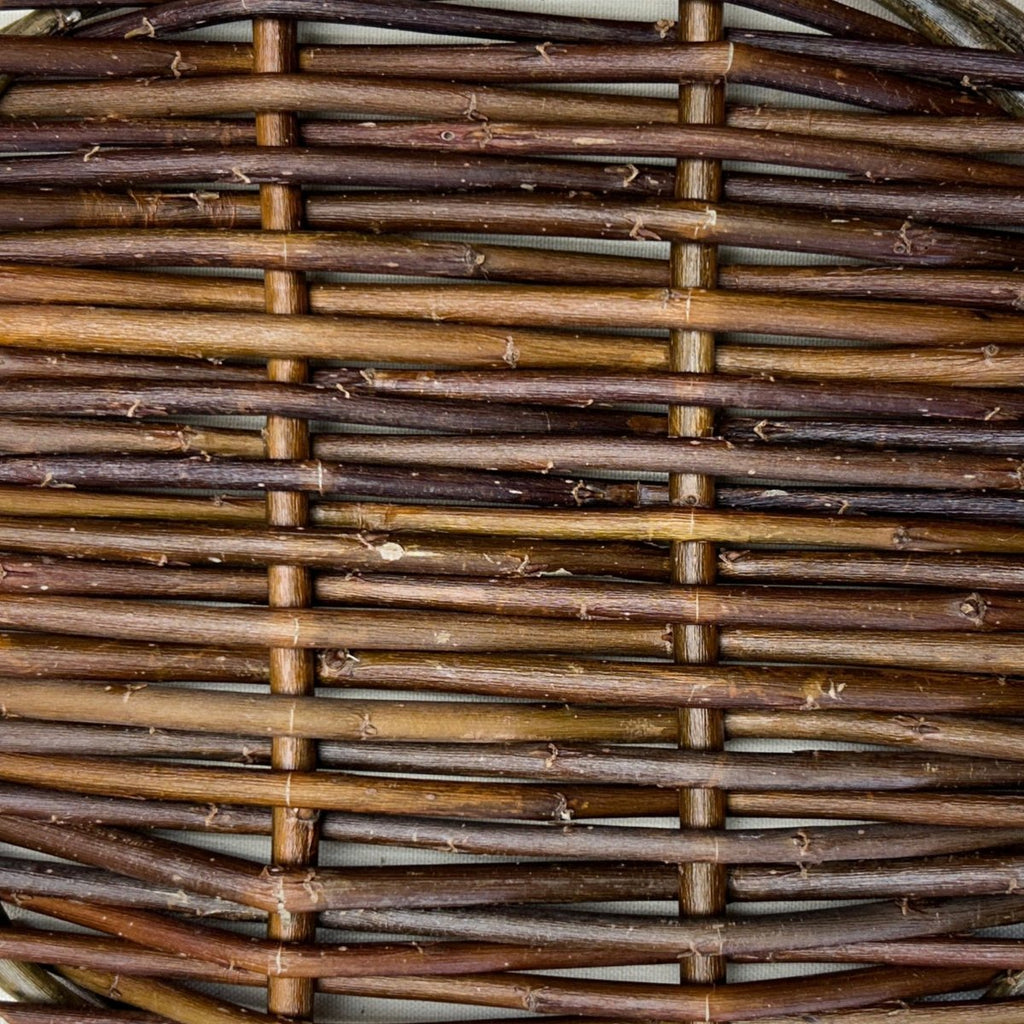 Calliantha Basketry Willow Cutting