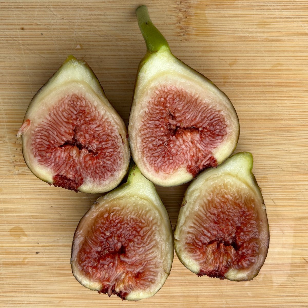 Carini Fig Cutting - Dingdong's Garden