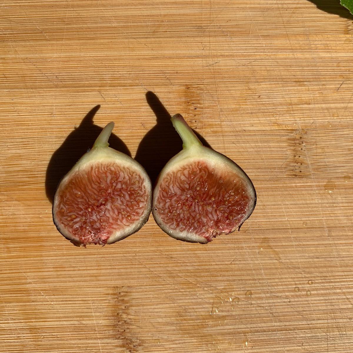 De Tres Esplets Fig Cutting - Dingdong's Garden