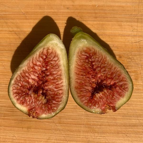 Grise de St Jean Fig Cutting - Dingdong's Garden