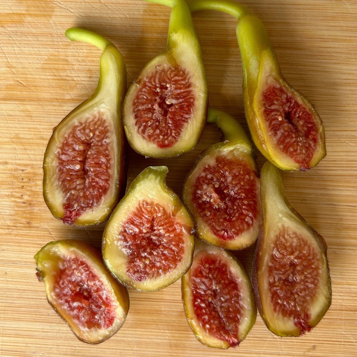 Hunt Fig Cutting - Dingdong's Garden