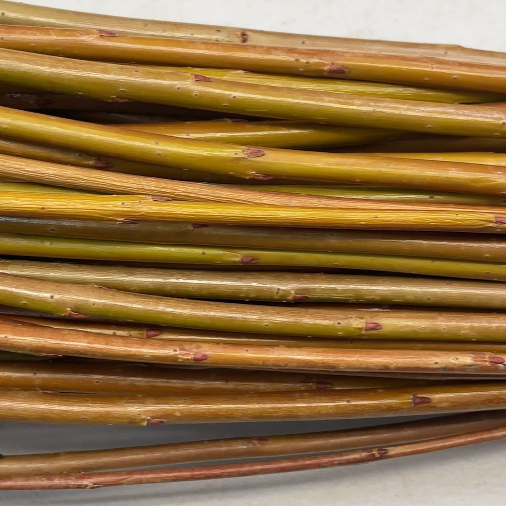 Jagiellonka Willow Cutting