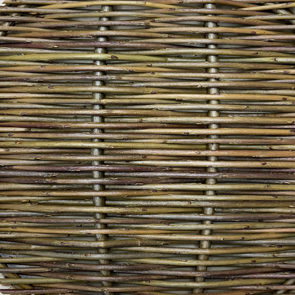 Lambertiana Willow Cutting