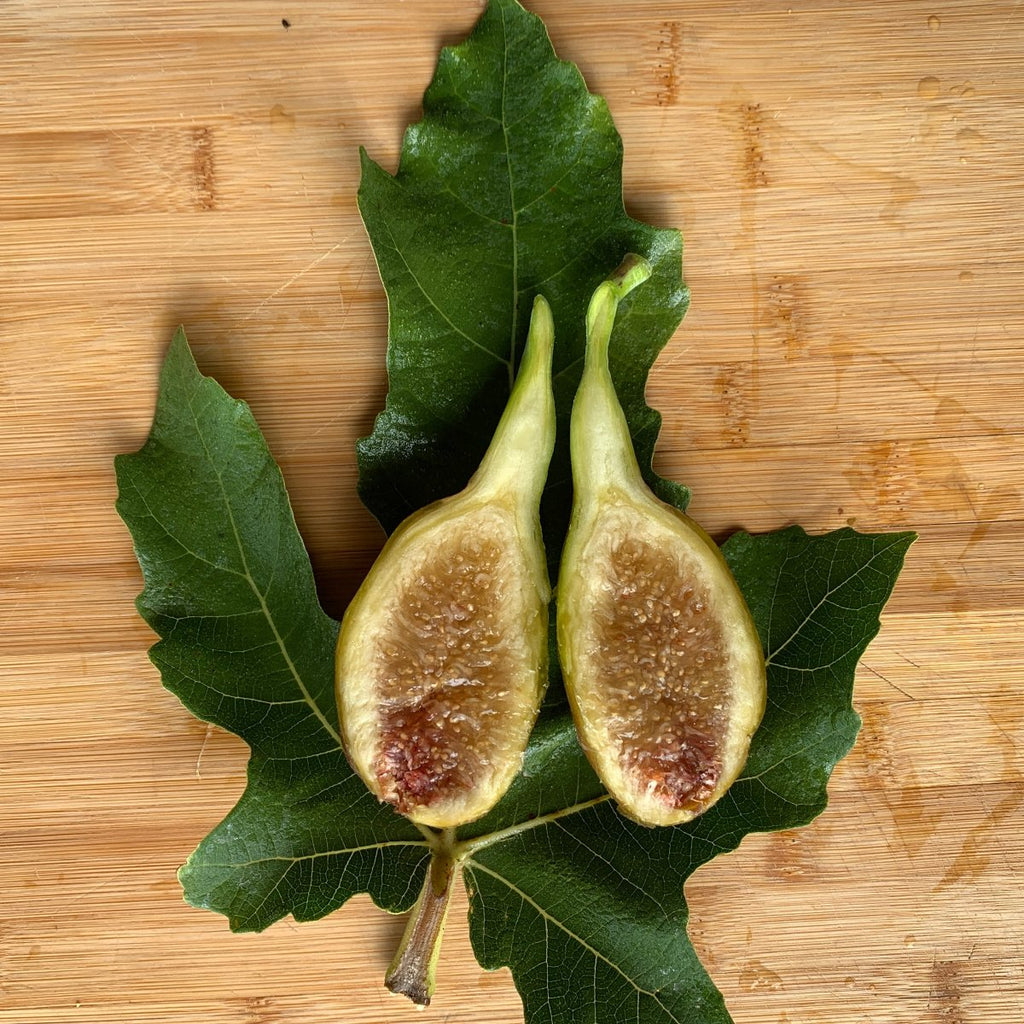 Longue d'Aout Fig Cutting