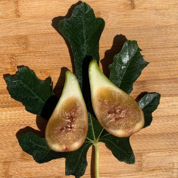 Madeleine des Deux Saisons Fig Cutting