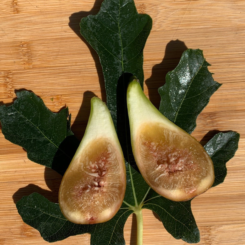 Madeleine des Deux Saisons Fig Cutting