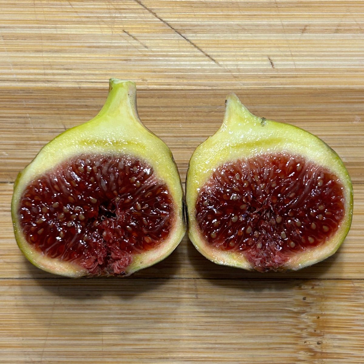 Martinenca Rimada Fig Cutting - Dingdong's Garden