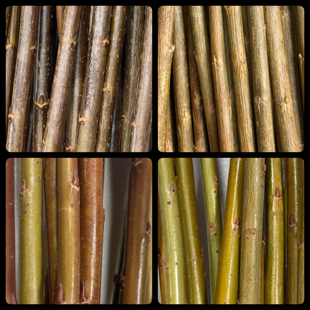 English Basketry Willow Collection - Black Maul, Whissender, Harrisons, Brittany Green - 8pc