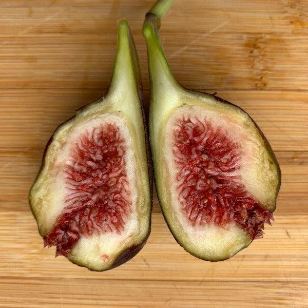 Unk Sicilian Dark Fig Cutting - Dingdong's Garden