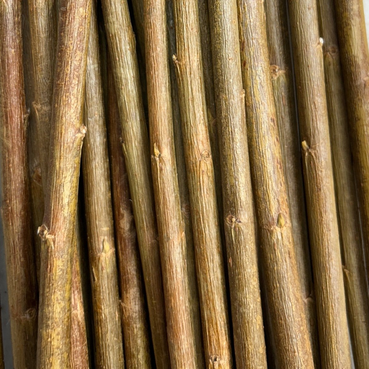 Whissender Willow Cutting - Dingdong's Garden