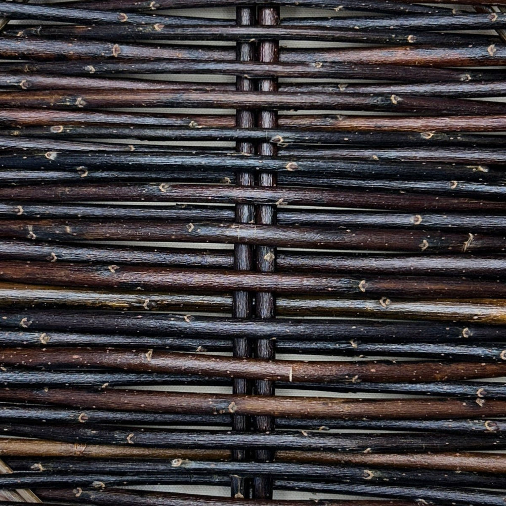 Winter Green Willow Cutting