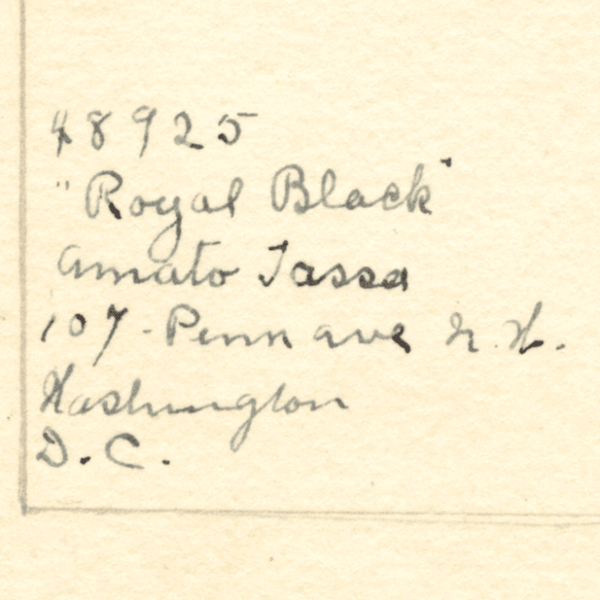 Royal Black Fig 4x6 Decorative Card - Dingdong's Garden