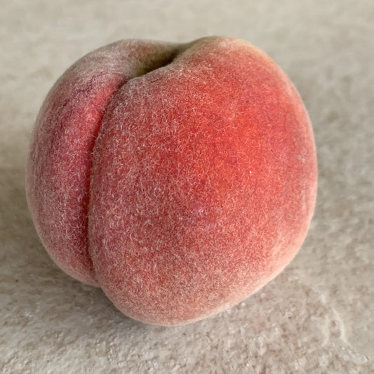 Frost Peach Scionwood - Dingdong's Garden