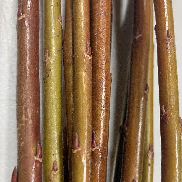 English Basketry Willow Collection - Black Maul, Whissender, Harrisons, Brittany Green - 8pc - Dingdong's Garden