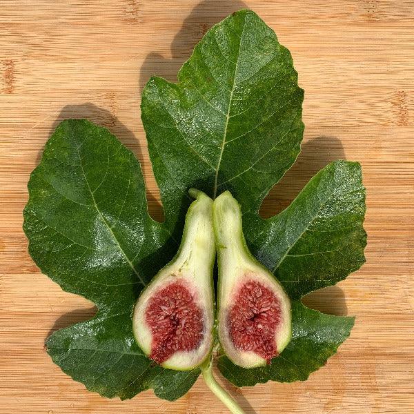 Strawberry Vert Fig Cutting