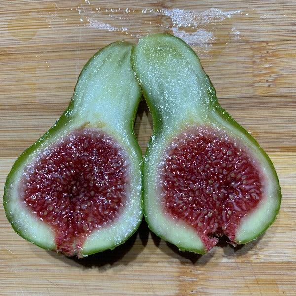 Verdino Del Nord Fig Cutting